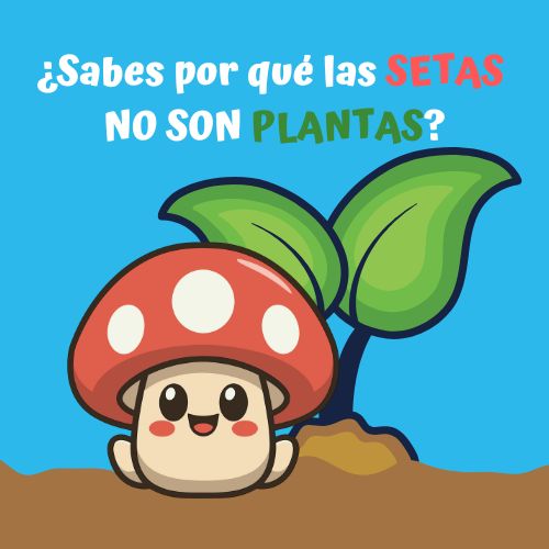 dibujo tipo cartoon de una seta con el sombrero rojo y blanco con cara y una planta al fondo