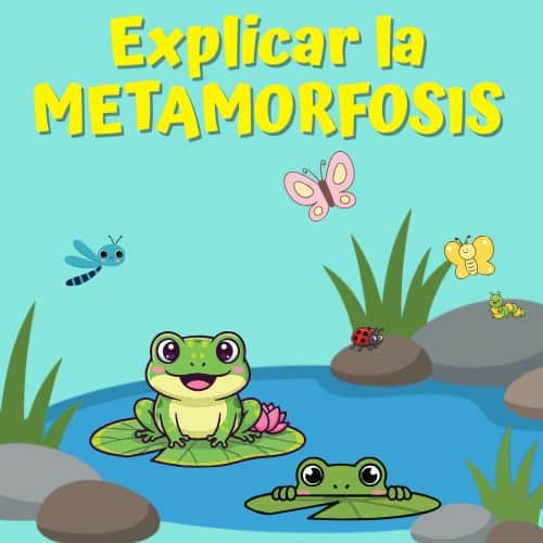 dibujo infantil de una rana sobre un nenúfar en una charca y otra asomada a un nenúfar. Detrás insectos de colores: libélula, mariposas, mariquita y oruga para explicar la metamorfosis a los niños de primaria.