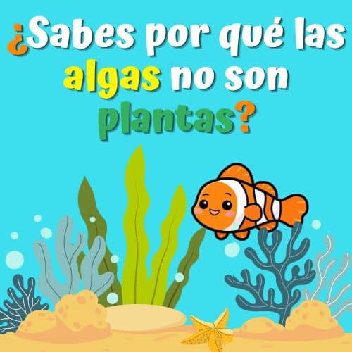 título con ilustración infantil de pez payaso nadando entre algas en el fondo marino